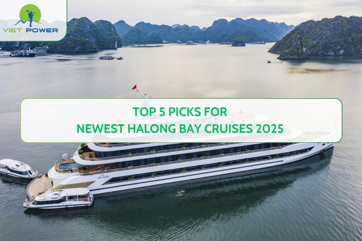 Top 5 Picks for Newest Halong Bay Cruises 2025
