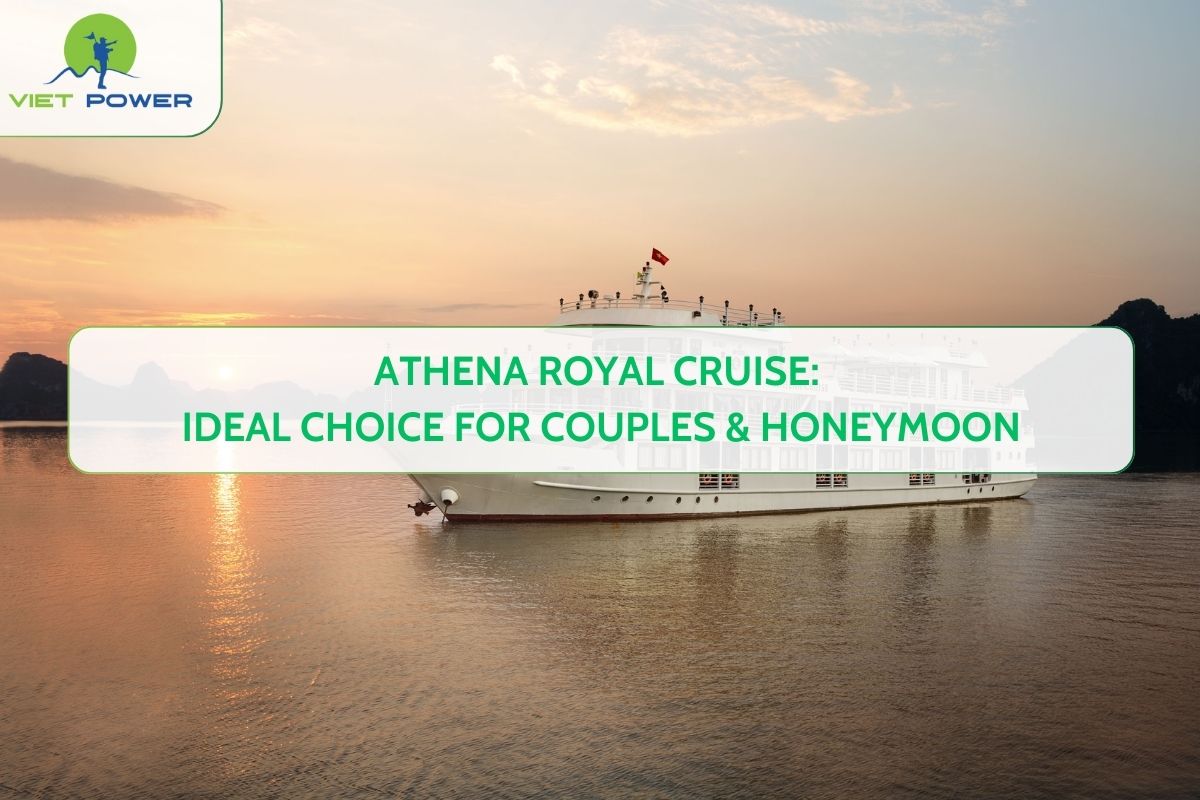 Athena Royal Cruise: Ideal Choice for Couples & Honeymoon