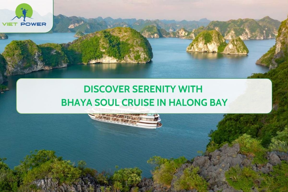 Discover Serenity with Bhaya Soul Cruise in Halong Bay
