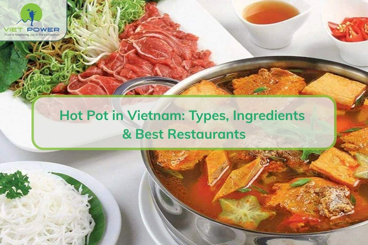 Hot Pot in Vietnam: Types, Ingredients & Best Restaurants