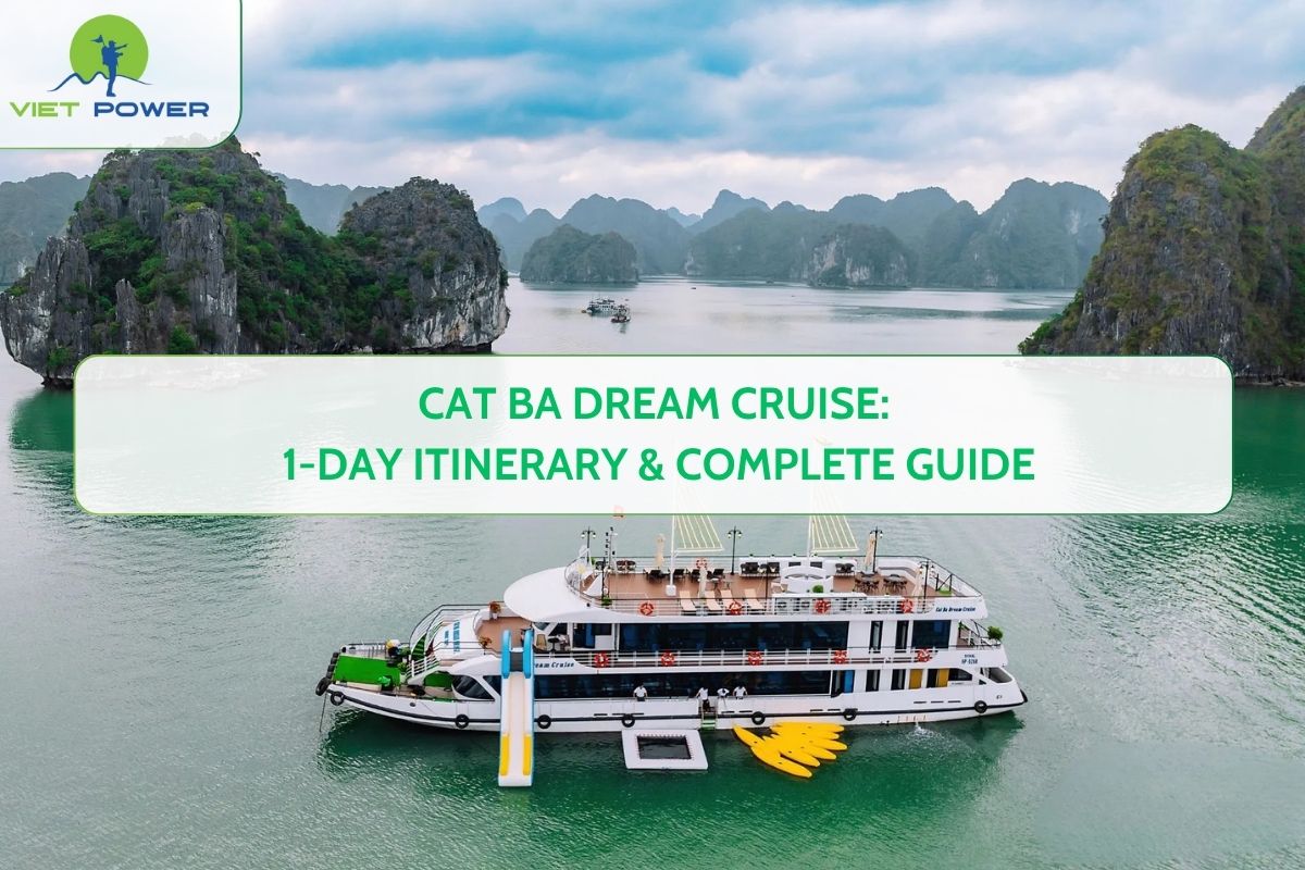 Cat Ba Dream Cruise: 1-Day Itinerary & Complete Guide