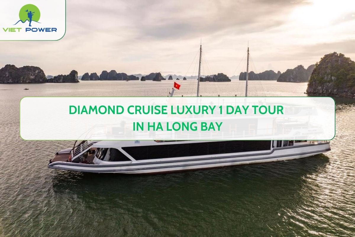 Diamond Cruise Luxury 1 Day Tour in Ha Long Bay