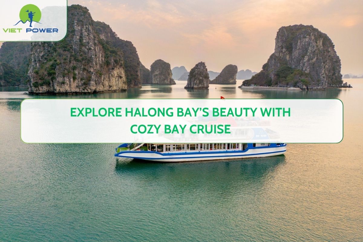 Explore Halong Bay’s Beauty with Cozy Bay Cruise﻿