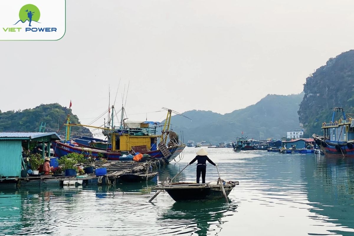 Cai Beo Floating Village visit and scenic bay cruising