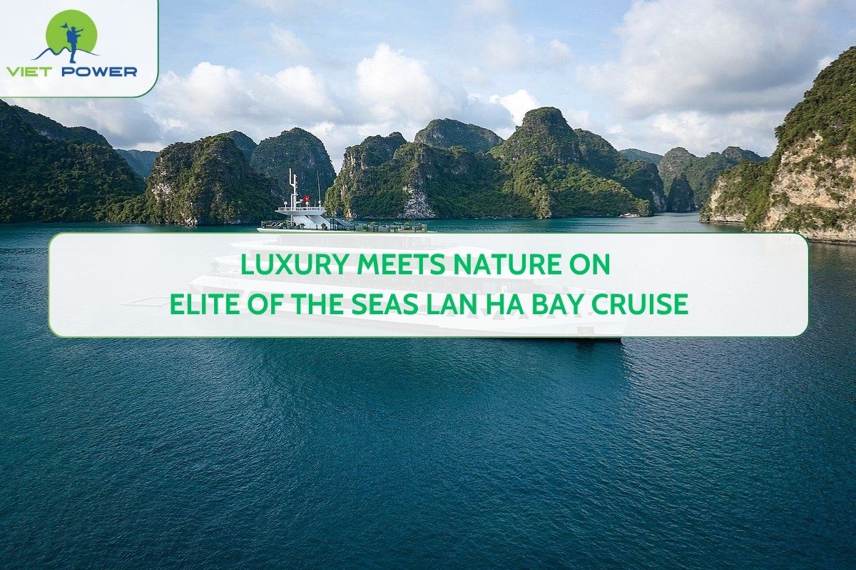 Luxury Meets Nature on Elite of The Seas Lan Ha Bay Cruise