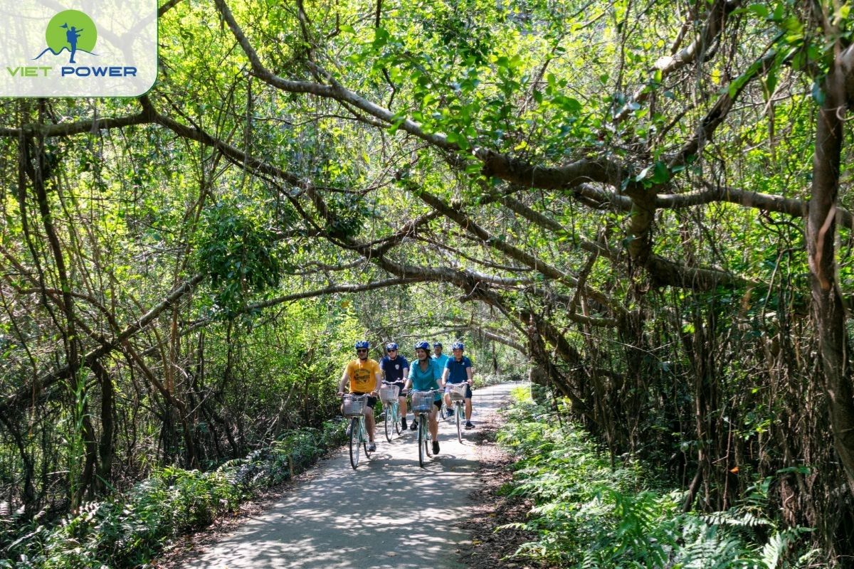 Cycling Through Viet Hai Village