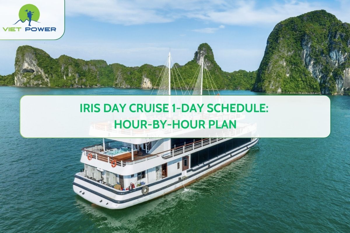 Iris Day Cruise 1-Day Schedule: Hour-by-Hour Plan