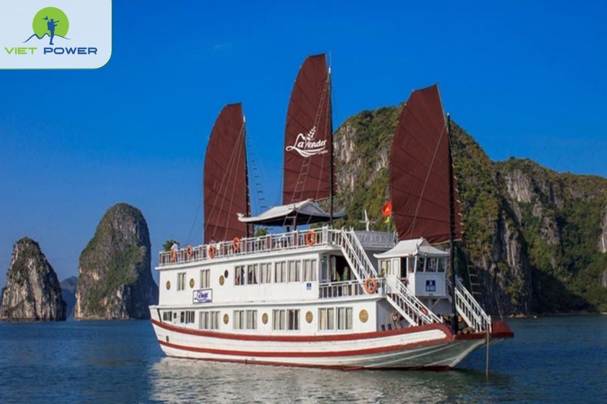 Lavender Classic Cruise 