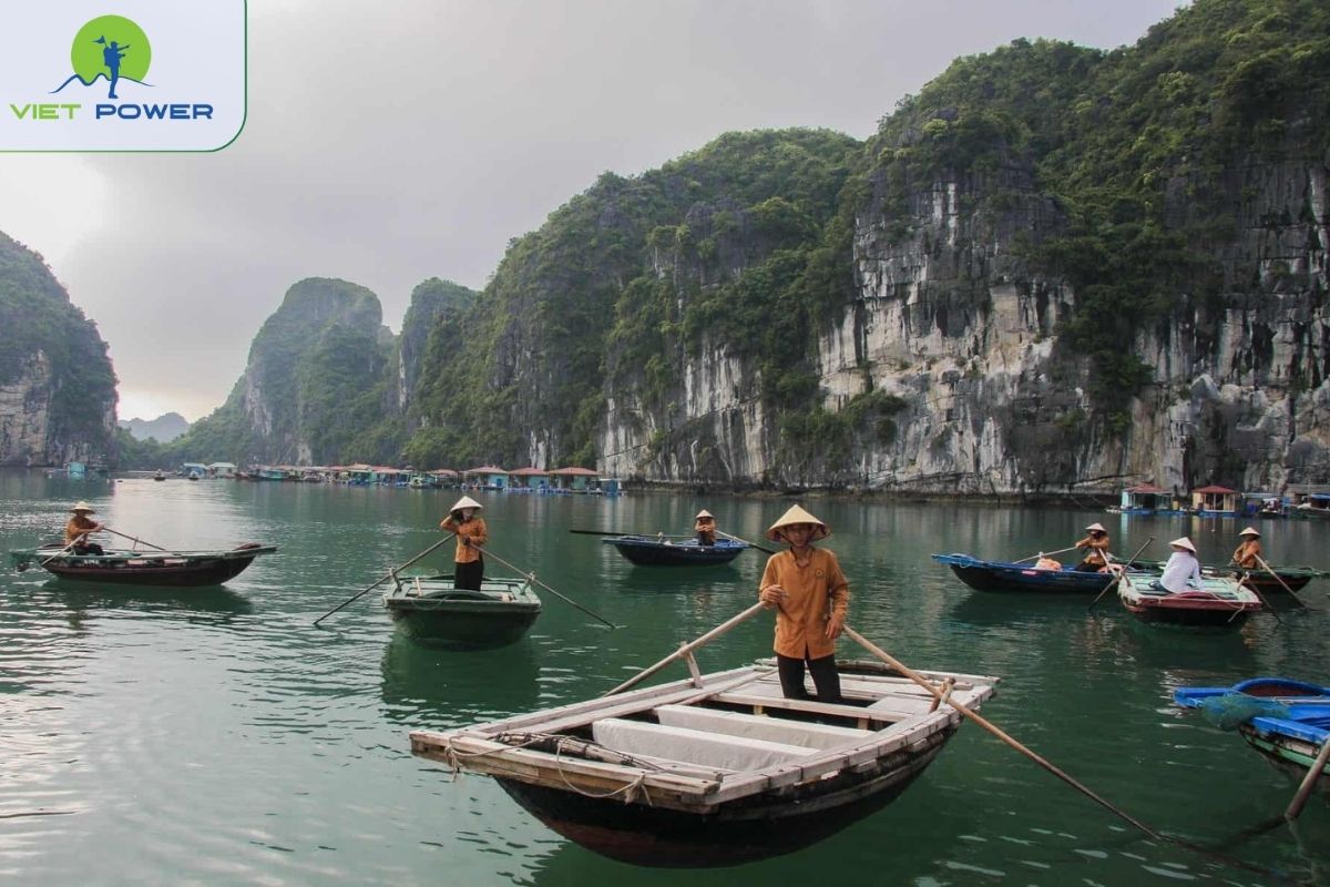 Bamboo boat excursion to Vung Vieng Fishing Village