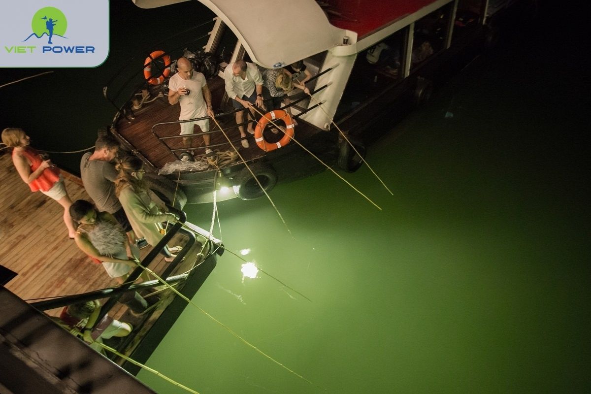 Evening squid fishing