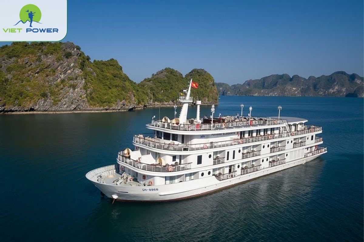 Paradise Elegance Cruise