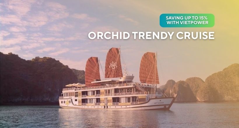Orchid Trendy Cruise