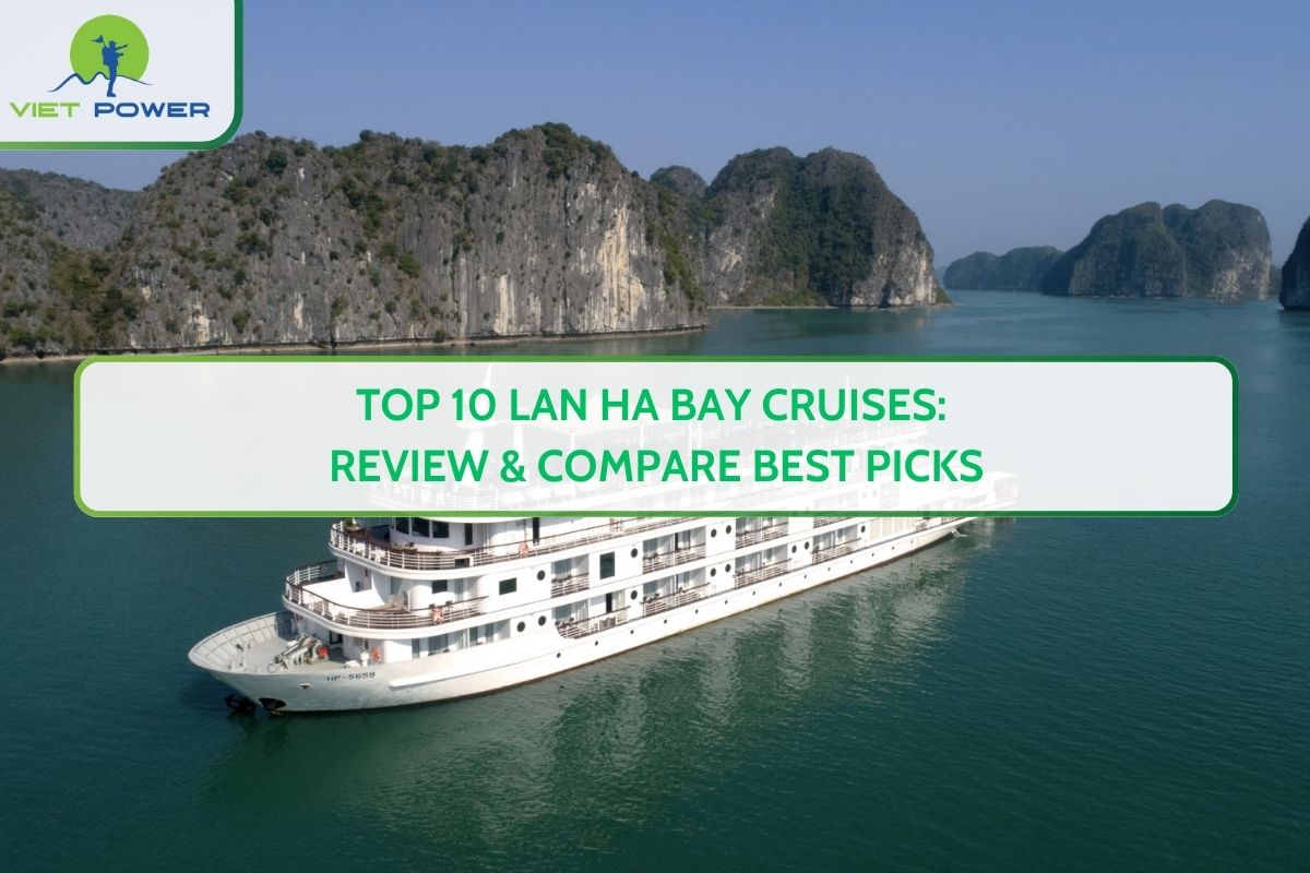 Top 10 Lan Ha Bay Cruises: Review & Compare Best Picks