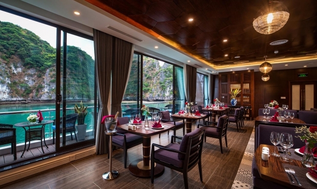 Stellar of the Seas Cruise