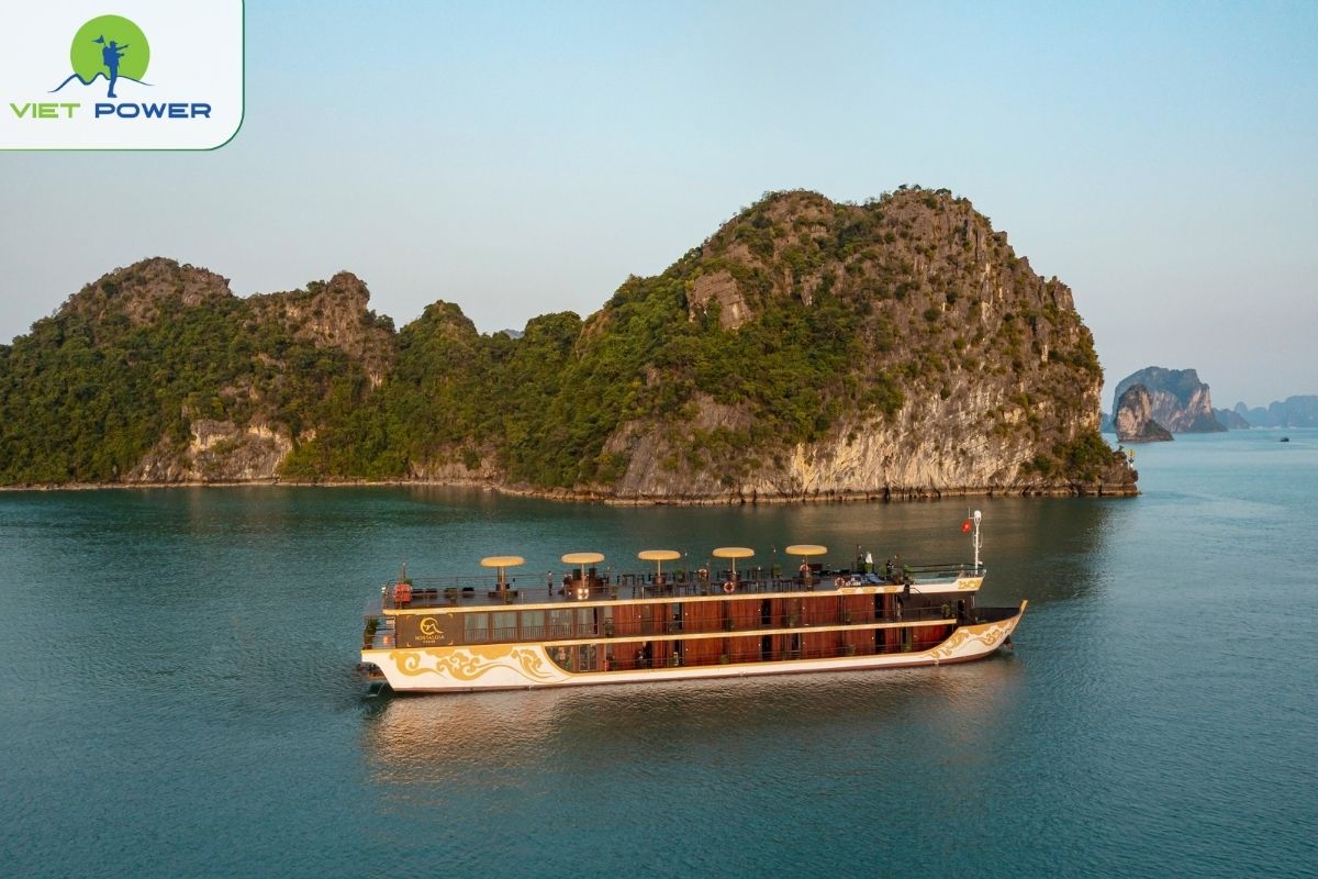 Nostalgia Boutique Cruise