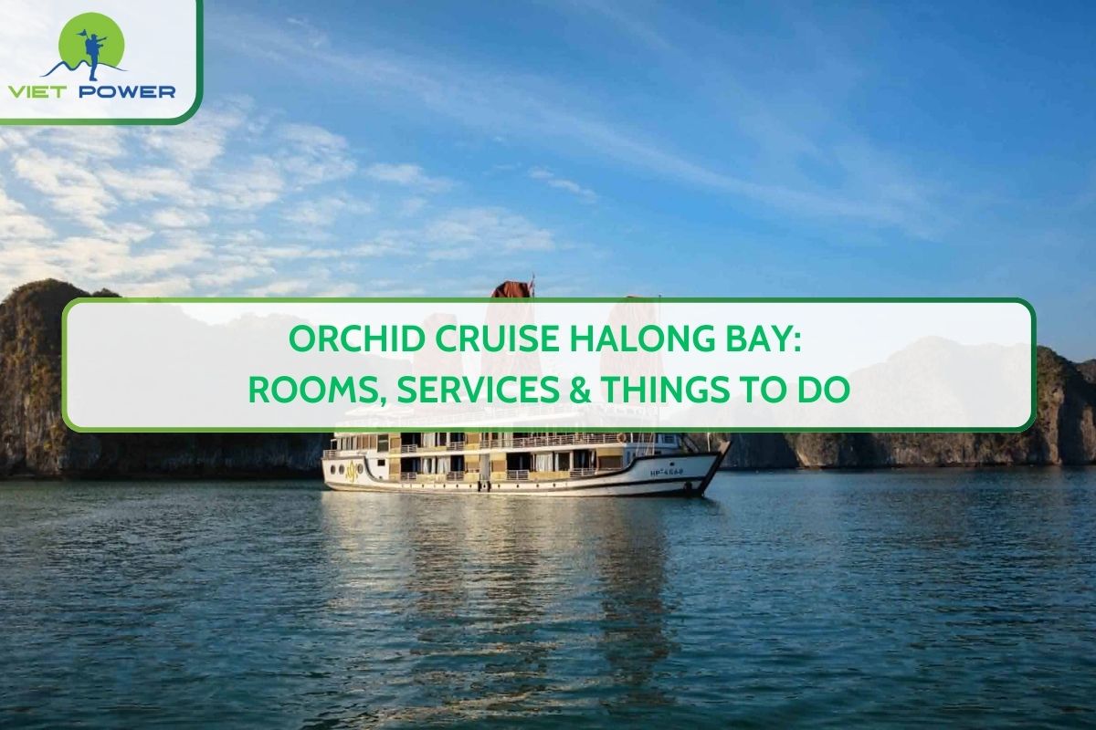 Orchid Cruise Halong Bay: Rooms, Services & Things to Do