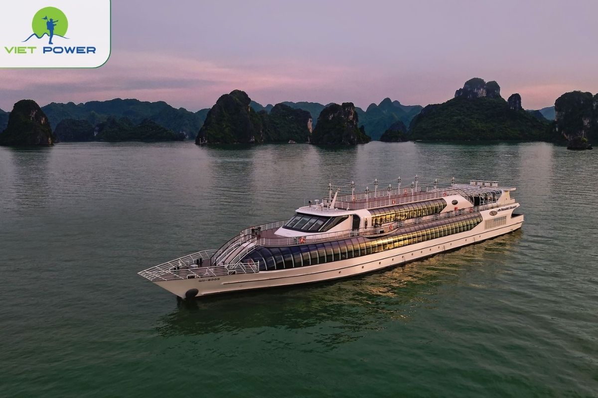 Paradise Delight Cruise