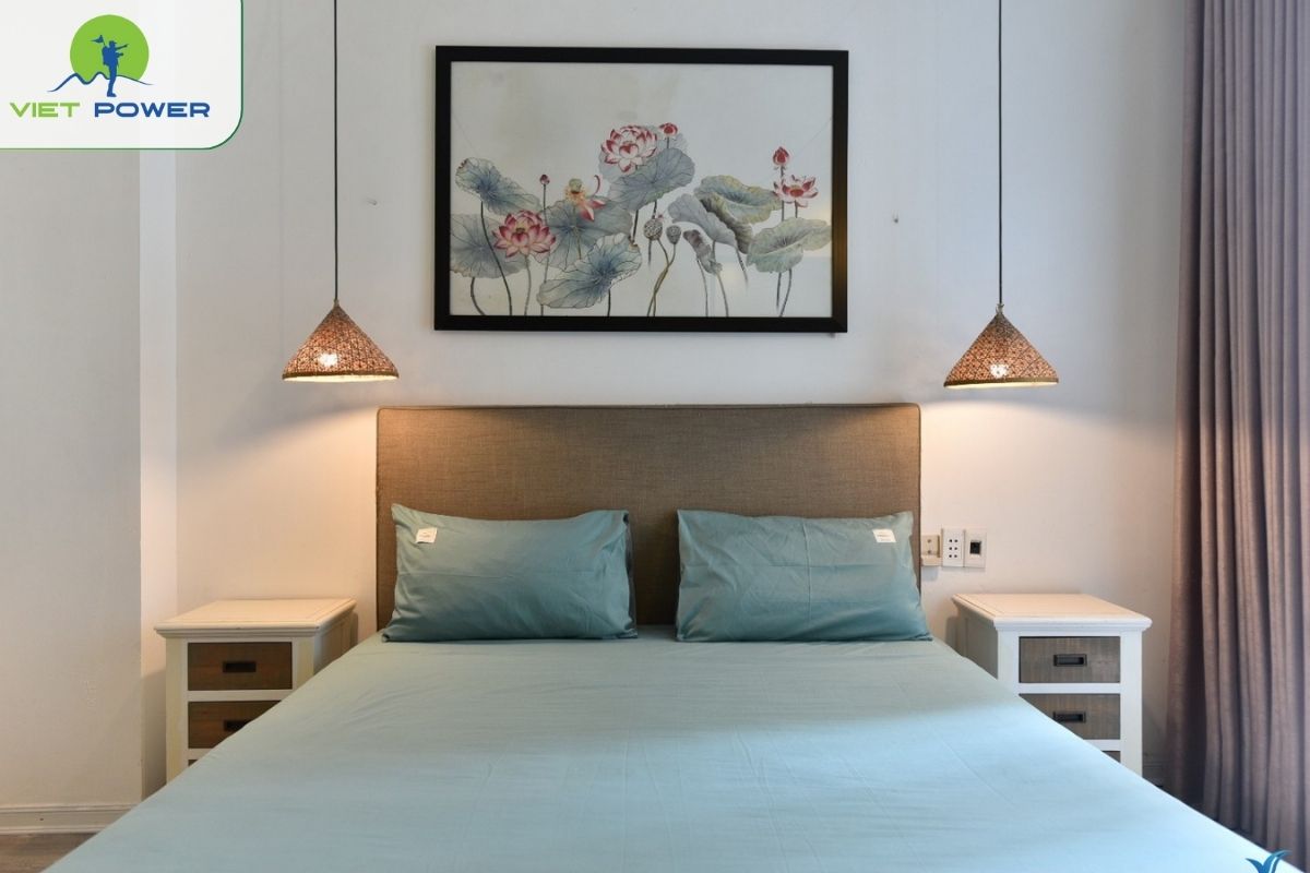 Like Backpacker Hostel 