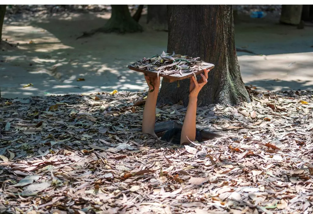 Vietnamese Honeymoon: Exploring Paradise Together in 12 Days