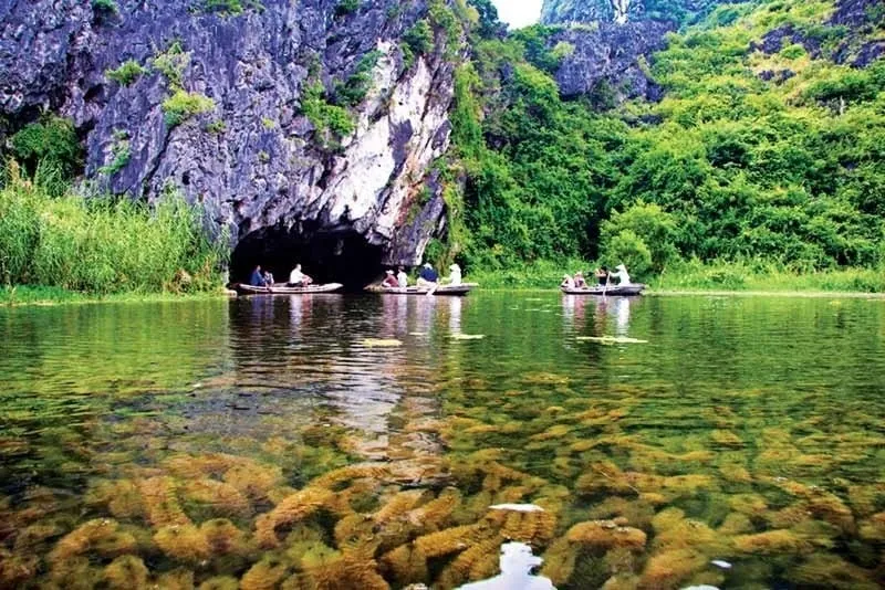 Exclusive National Park Tour: Paradise Cave and Phong Nha Cave
