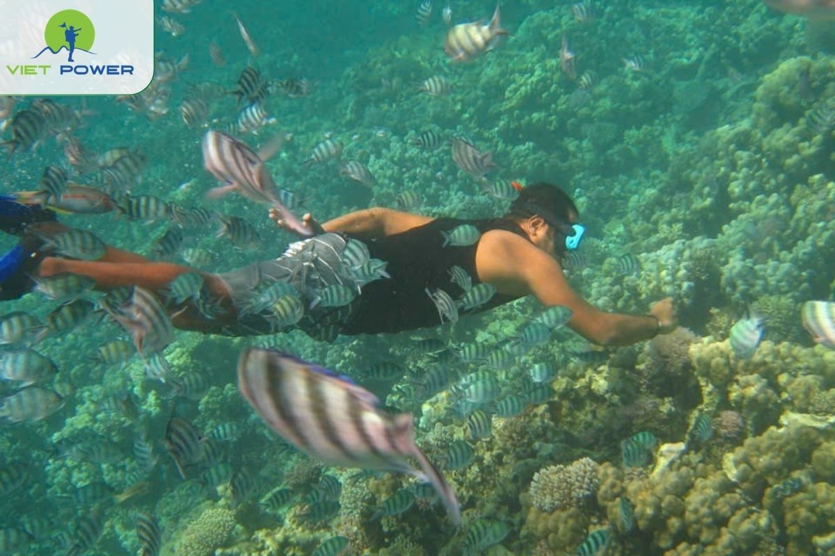 Try snorkeling and diving at Hon Mun Marine Area