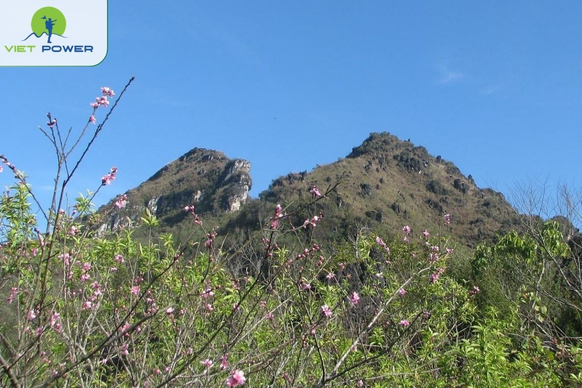 Ham Rong Mountain and Flower Gardens