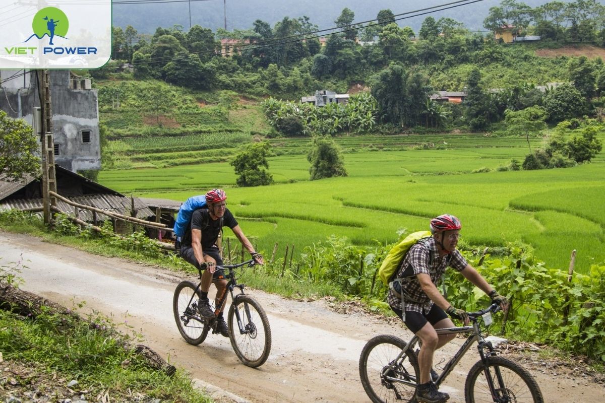 Mountain Biking and Trail Running