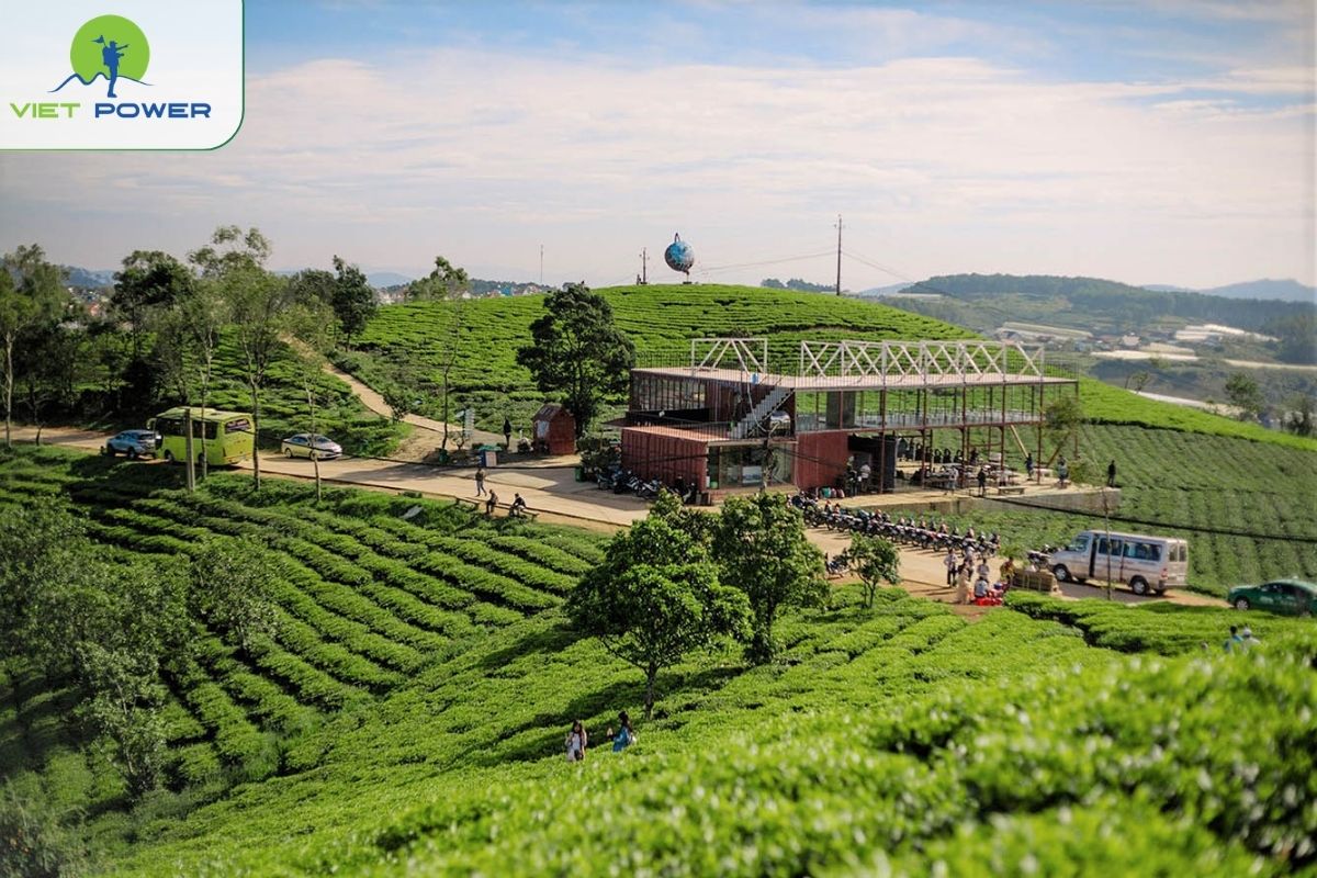 Cau Dat Farm